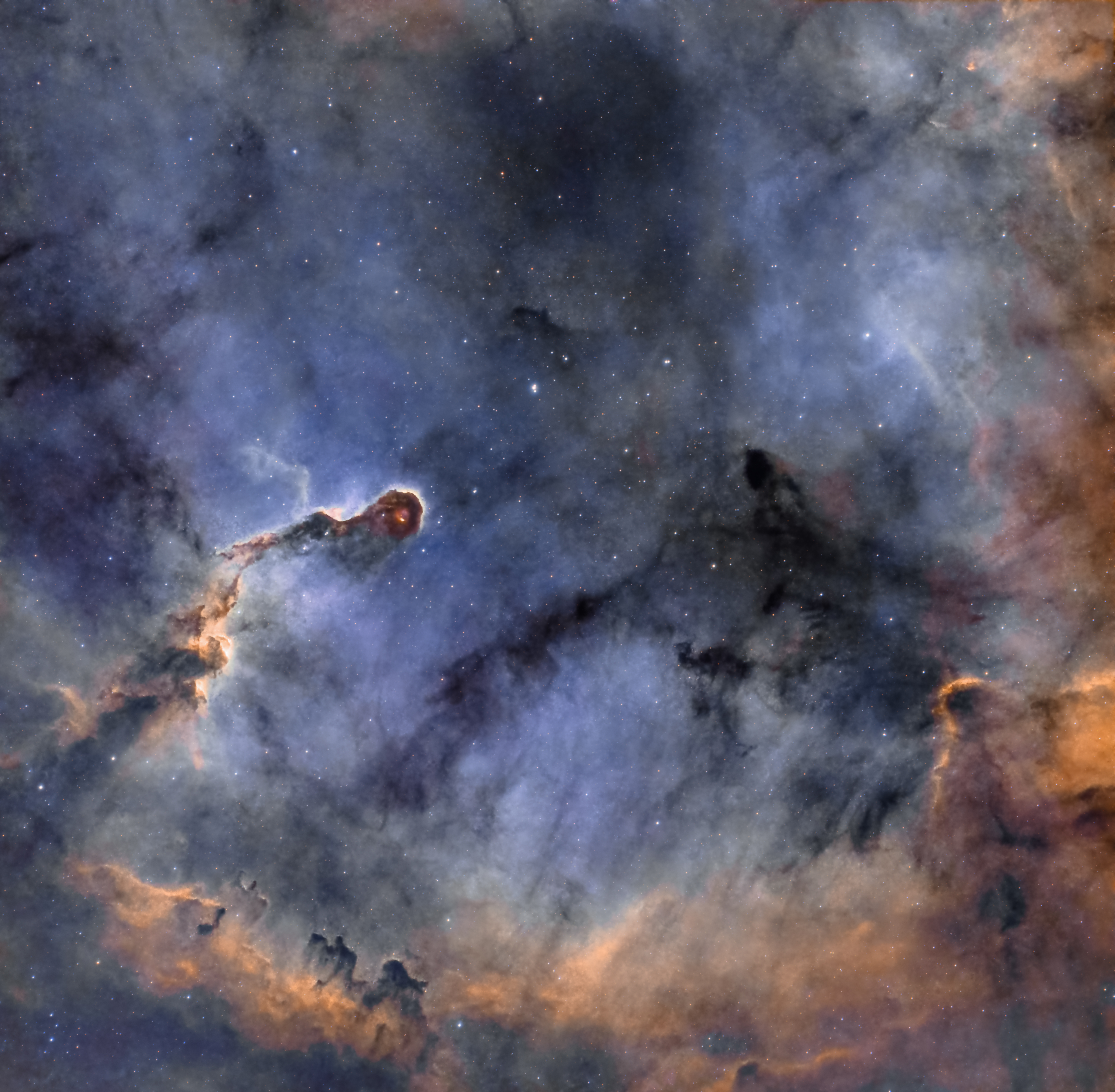 Cygnus Wall
