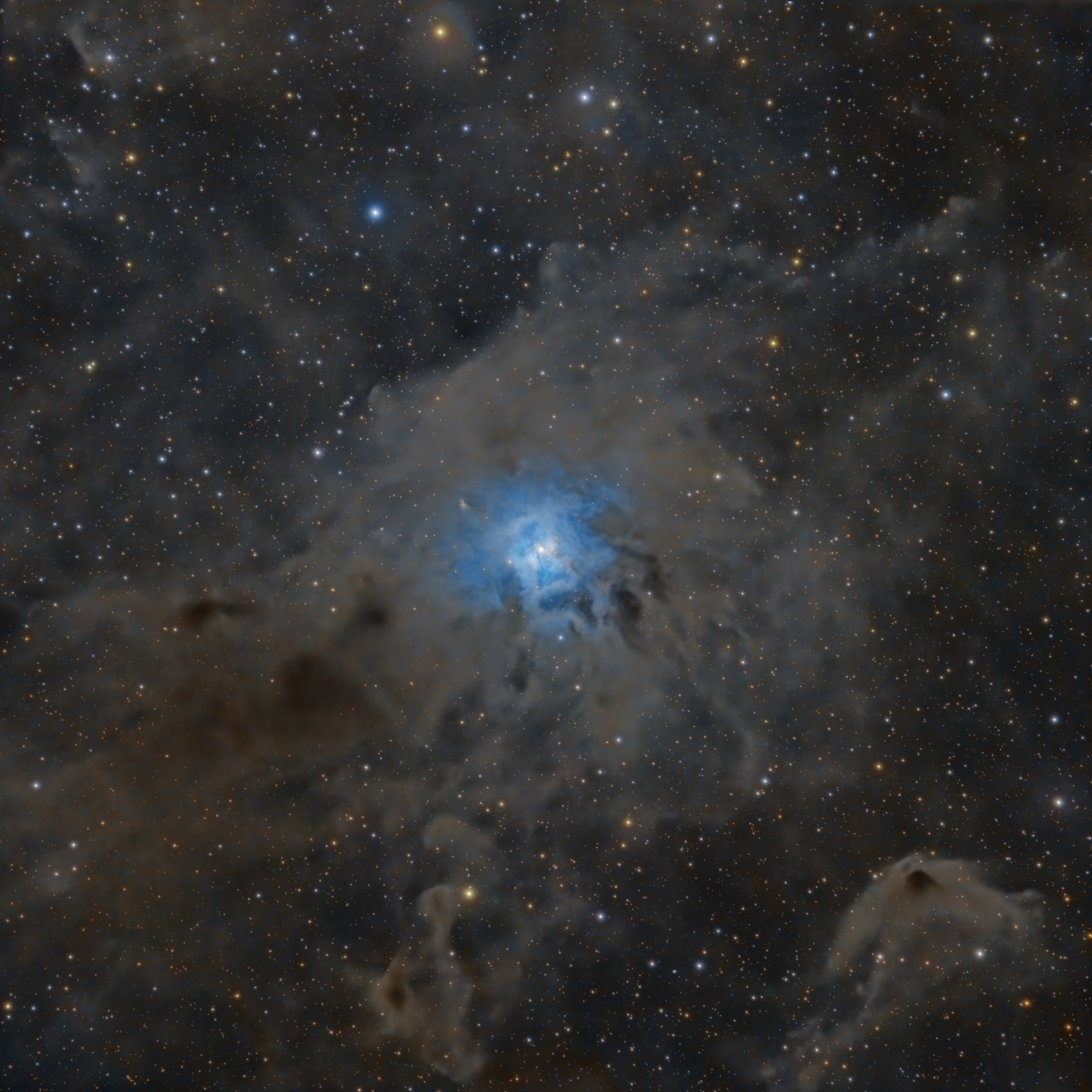 Cygnus Wall